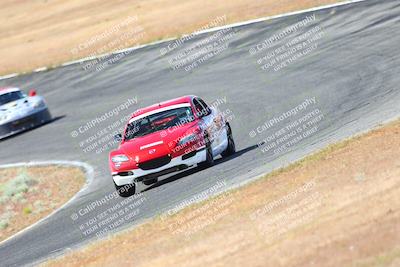media/May-06-2023-Lucky Dog Racing (Sat) [[8f2256f436]]/Turn 2 10a/